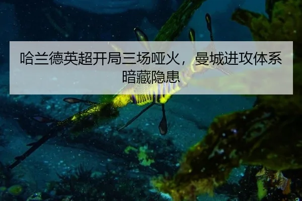 哈兰德英超开局三场哑火，曼城进攻体系暗藏隐患