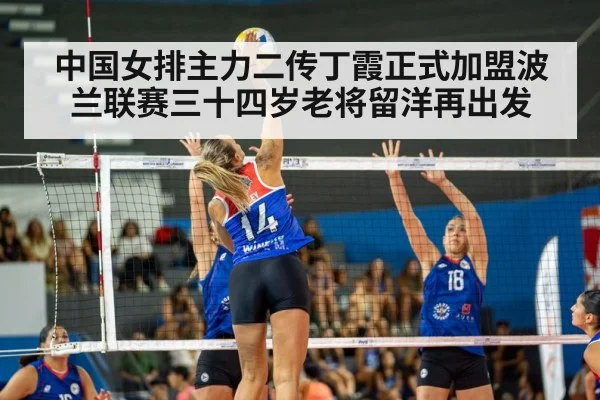 中国女排主力二传丁霞正式加盟波兰联赛三十四岁老将留洋再出发